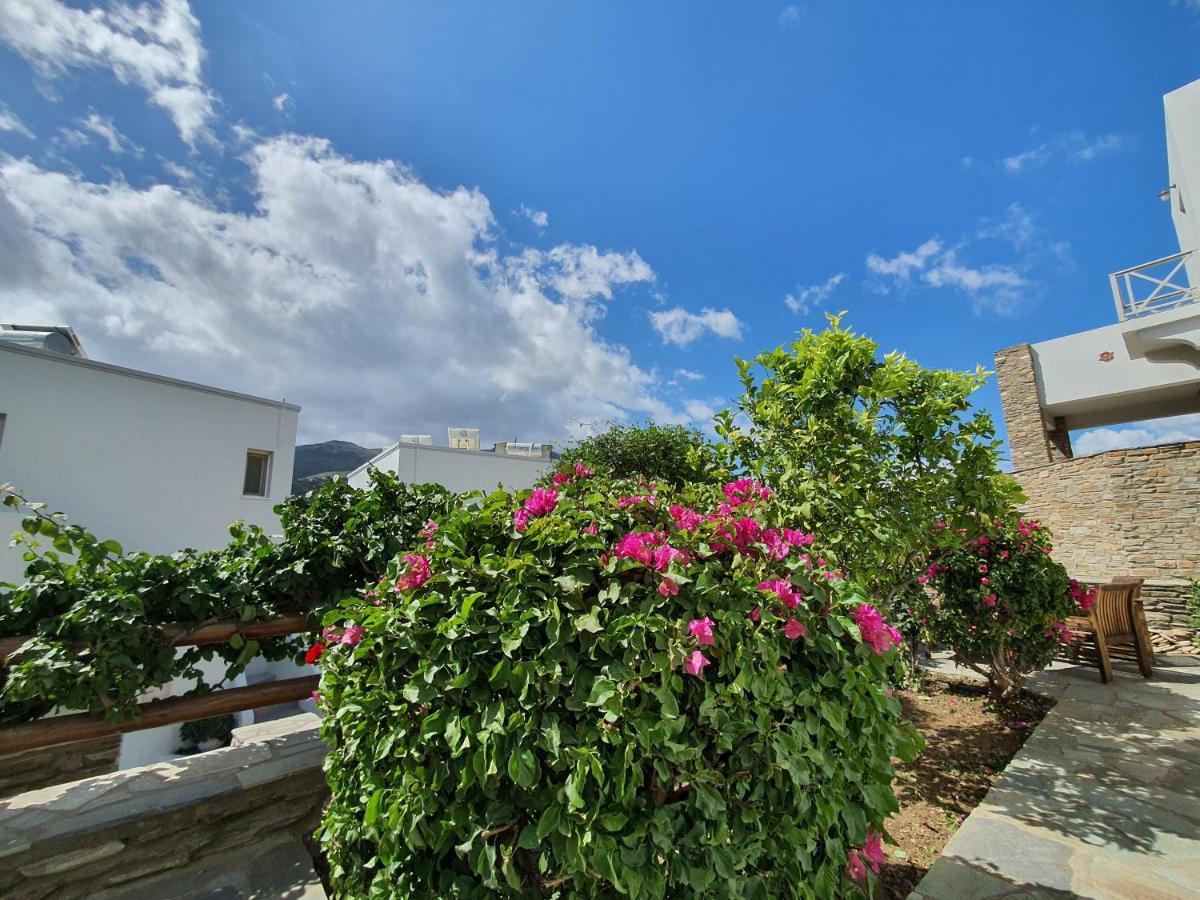 Karaoulanis * Andros Town