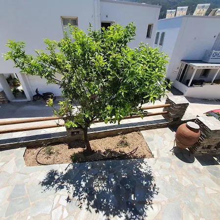 Karaoulanis Apartments Andros Town Exterior photo